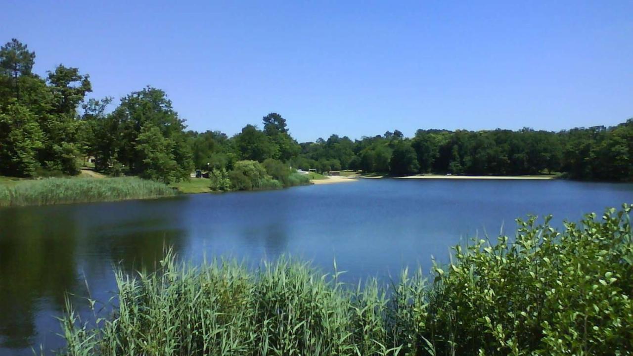 La Colline De Tilleul - Les Deux Puits - Cosy Cottage With Swimming Pool Near Aubeterre Saint-Romain  外观 照片