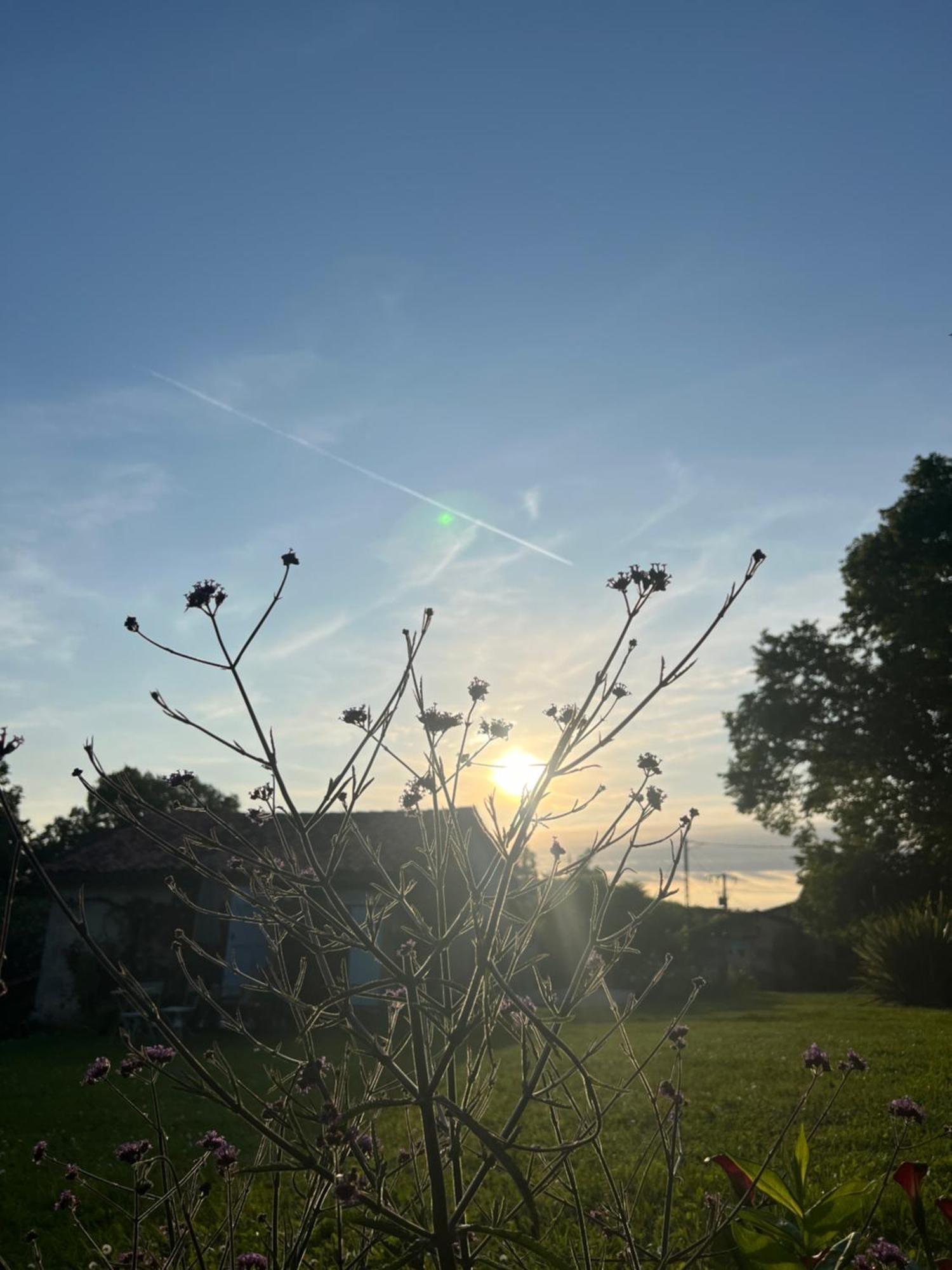 La Colline De Tilleul - Les Deux Puits - Cosy Cottage With Swimming Pool Near Aubeterre Saint-Romain  外观 照片