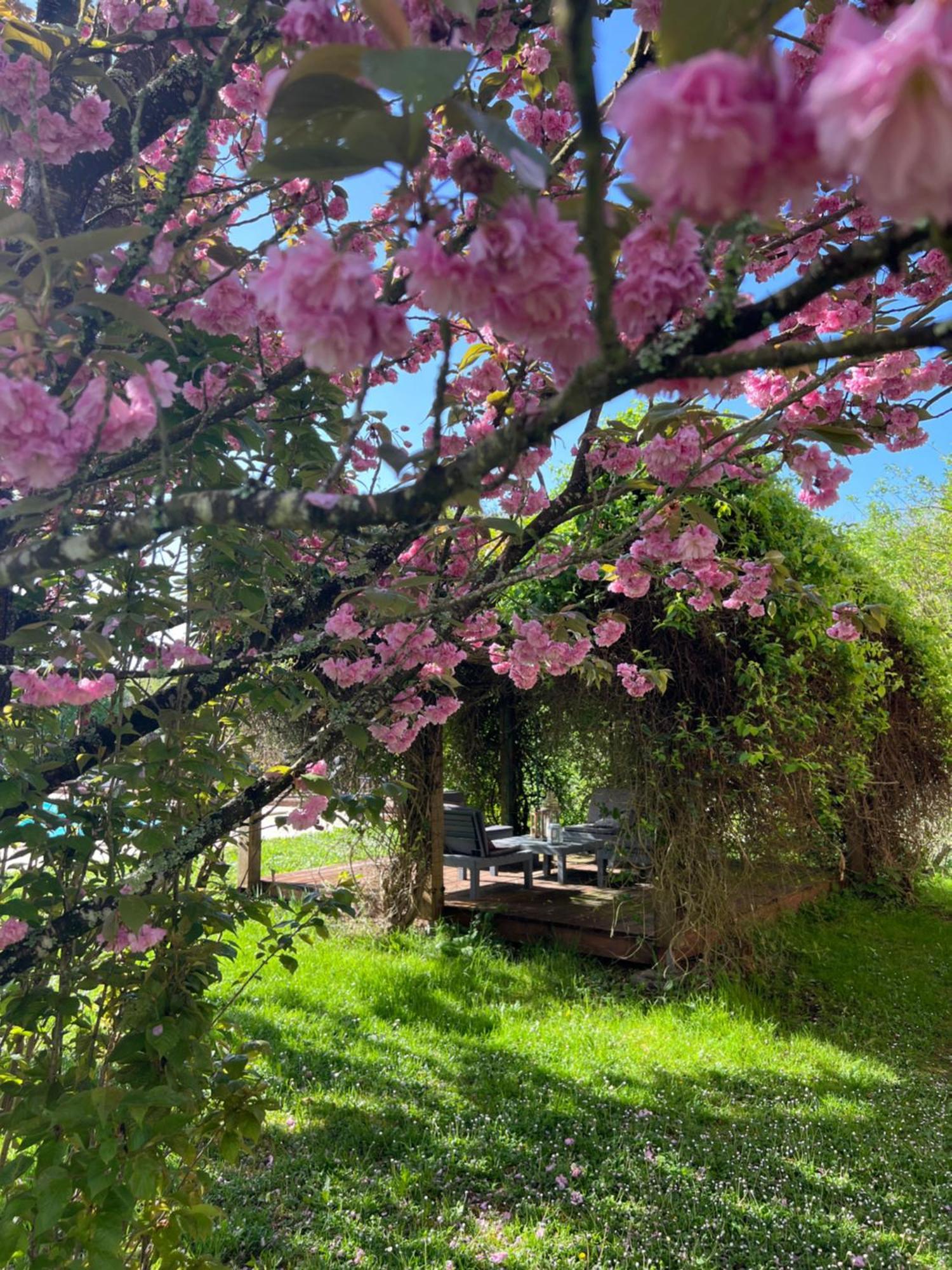 La Colline De Tilleul - Les Deux Puits - Cosy Cottage With Swimming Pool Near Aubeterre Saint-Romain  外观 照片